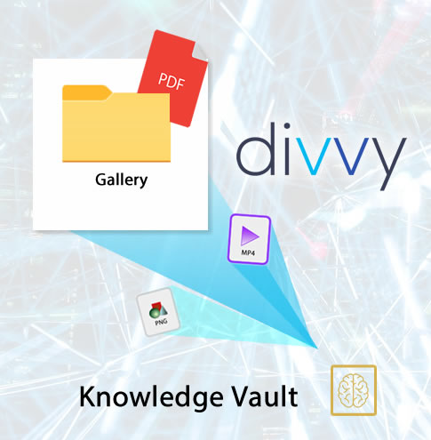 Divvy Gallery